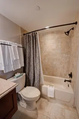 a bathroom with a toilet and a tub and a sink at Nassau Inn in Princeton
