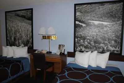 a hotel room with a desk and a bed and a picture at Super 8 by Wyndham East Stroudsburg - Poconos in East Stroudsburg