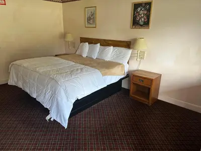 a hotel room with a bed and a night stand at Mark Twain Motor Inn in Elmira