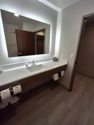 a bathroom with a sink and a large mirror at Holiday Inn Express Selinsgrove by IHG in Shamokin Dam