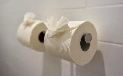 two rolls of toilet paper hanging on a wall at Wyndham Garden North Bergen - Secaucus in North Bergen