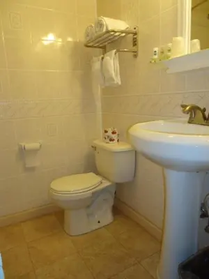 a bathroom with a toilet and a sink at Relax Inn in Fisherville