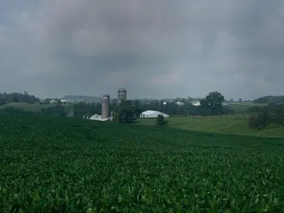 a field of crops with a farm in the background at Mt. Vernon Motel in Manheim