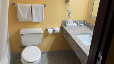 a bathroom with a toilet and a sink and towels at Appalachian Hotel in Carlisle