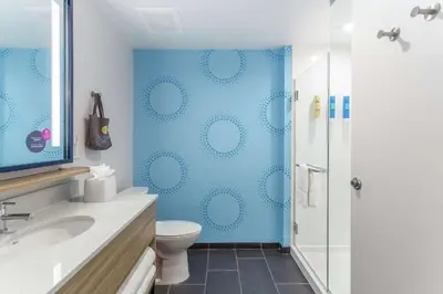 a bathroom with a toilet and a blue shower at Tru By Hilton Binghamton Vestal in Vestal