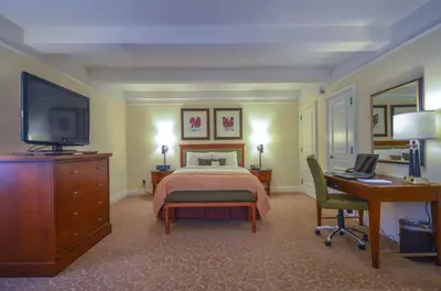 a bedroom with a bed and a desk and a television at San Carlos Hotel New York in New York