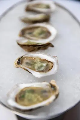 a group of oysters sitting on a glass plate at The Evelyn NoMad in New York