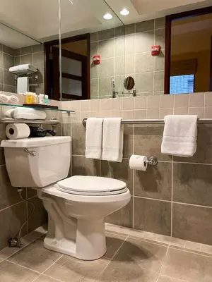 a bathroom with a toilet and a shower with towels at Library Hotel by Library Hotel Collection in New York
