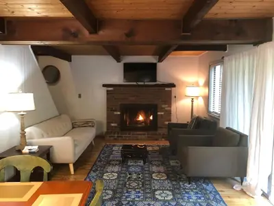 a living room with a couch and a fireplace at Cozy Cottage at Saw Creek in Bushkill