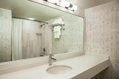 a bathroom with a sink and a large mirror at Sheraton Suites Philadelphia Airport in Philadelphia