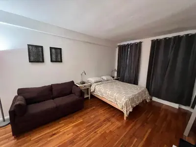 a living room with a couch and a bed at great studio apt new york city in New York