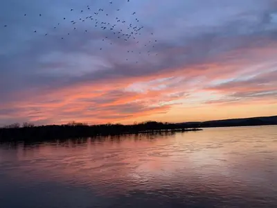 a flock of birds flying over a lake at sunset at Riverfront Penthouse Suite in Midtown Harrisburg near Hershey in Harrisburg