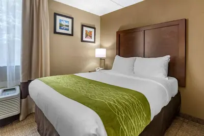 a hotel room with a large bed with a green blanket at Comfort Inn Edison - New Brunswick in Edison
