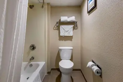 a bathroom with a toilet and a bath tub with towels at Comfort Inn Edison - New Brunswick in Edison