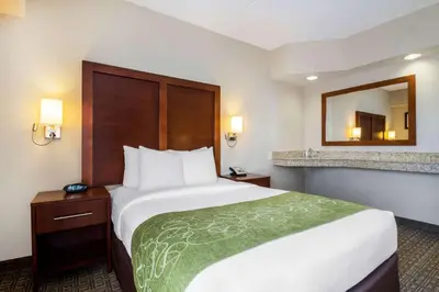 a hotel room with a large bed and a mirror at Comfort Suites at Woodbridge in Avenel