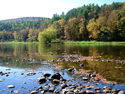 a river with a bunch of rocks in the water at Spacious Home with Deck, Grill and Delaware River View in Callicoon