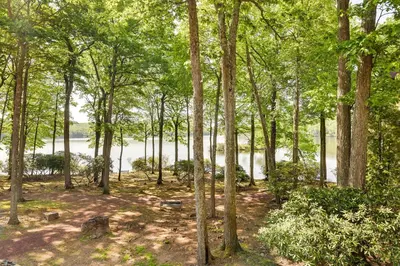 a forest of trees with a lake in the background at 1 Mi to Big Boulder Lakefront Unit with Pool Access in Lake Harmony
