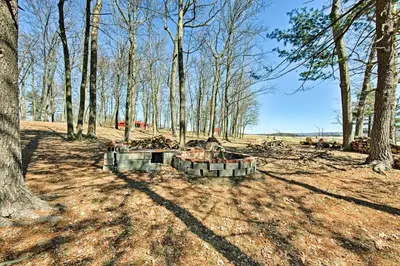 a group of trees in the middle of a field at 180-Acre Farm The Lodge in Klingerstown! in Klingerstown