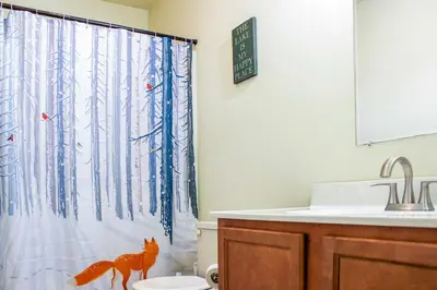 a bathroom with a shower curtain with a cat on the toilet at Walk to Beach Beautiful Lake Naomi Retreat! in Pocono Pines