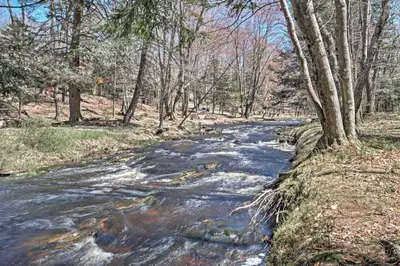 a stream in the middle of a forest with trees at Creekside Arrowhead Lake House with Dock and Canoe! in Pocono Lake