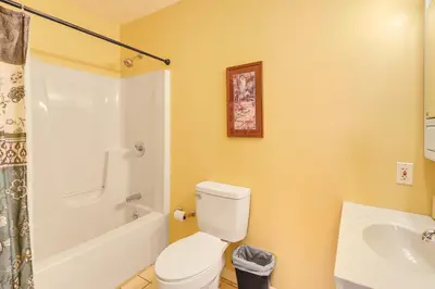 a bathroom with a toilet and a shower and a sink at Pocono Retreat Access to Community Lake and Beach! in Albrightsville