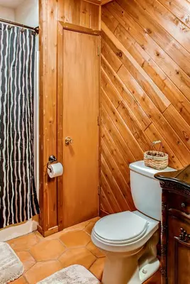 a bathroom with a toilet and a wooden wall at Lake Harmony Vacation Rental with Hot Tub and Views! in Lake Harmony