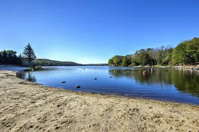 a view of a lake with ducks in the water at half Mi to Hideout Ski Lake Ariel Resort Home! in Lake Ariel