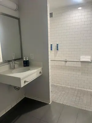 a bathroom with a sink and a mirror and a shower at Four Points by Sheraton New York Downtown in New York