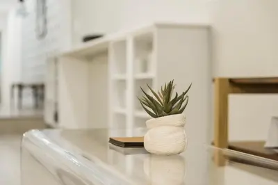 a plant in a vase sitting on top of a counter at Abode XS House Stunning Architectural Flat in Philadelphia
