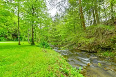 a stream in the middle of a field with trees at Serene Home with On-Site Brook in Callicoon Center in Callicoon Center