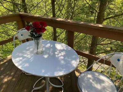 a vase of roses sitting on a table on a deck at Saw Creek Cabin - Regent Hilltop in Bushkill