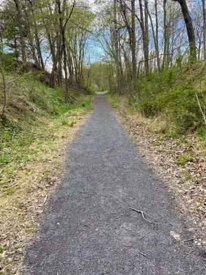 a dirt road in the middle of a forest at The Millersburg Mountain House Getaway with Gazebo! in Millersburg
