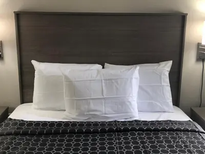 a bed with white pillows and a black headboard at Trolley Stop Motel, Media ,Near PHL Airport PA in Media