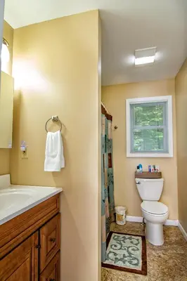 a bathroom with a sink and a toilet and a window at Cabin by the Creek with private creek access in Tannersville