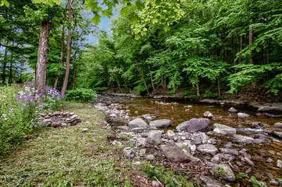 a creek with rocks and flowers next to a forest at Cabin by the Creek with private creek access in Tannersville