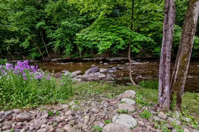 a stream with purple flowers and rocks and trees at Cabin by the Creek with private creek access in Tannersville