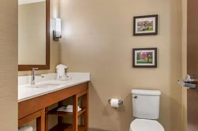 a bathroom with a toilet and a sink and a mirror at Comfort Suites Camp Hill-Harrisburg West in Harrisburg
