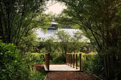 a wooden walkway in a garden with trees and a lake at Callicoon Hills in Callicoon Center