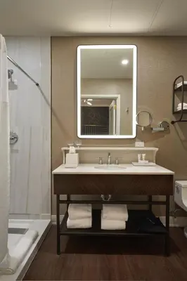 a bathroom with a sink and a mirror and a shower at The Chateau Grande Hotel in East Brunswick