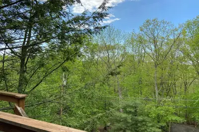 a view of the woods from a deck at Regent Hilltop Cabin in Sandyville