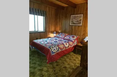 a bedroom with a bed in a wooden room at Regent Hilltop Cabin in Sandyville