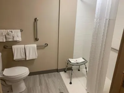 a bathroom with a toilet and a shower and a stool at Comfort Inn Horsham - Philadelphia in Horsham