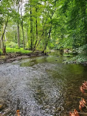 a stream in the middle of a forest with trees at Glenwood Inn - Stroudsburg in Delaware Water Gap