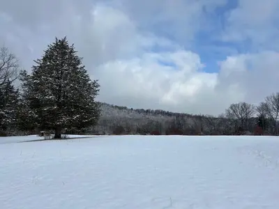 a tree in a snow covered field with a tree at Glenwood Inn - Stroudsburg in Delaware Water Gap
