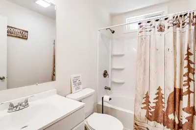 a bathroom with a toilet and a sink and a shower curtain at Furnished Deck and Fire Pit Poconos Outdoorsy Gem in Albrightsville