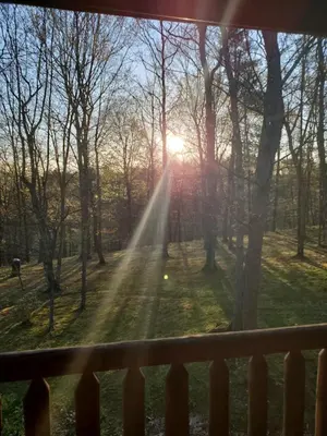 a view from a window of the sun shining through trees at Snyder's Knob in Millerstown