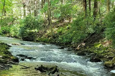a stream in the middle of a forest at Game Room and Yard Greentown Home Near State Park in Greentown