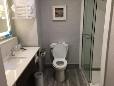 a bathroom with a toilet and a sink and a shower at Hampton Inn Old Bridge NJ in Old Bridge