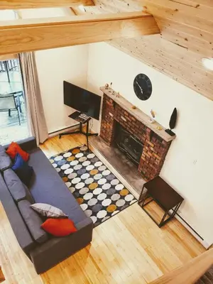 a living room with a couch and a fireplace at Sheshequin in Thornhurst