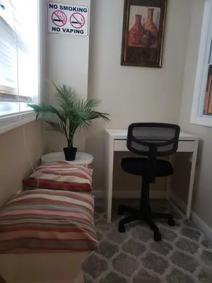 a chair sitting next to a desk with a plant at The Airport Lodge in Collingdale